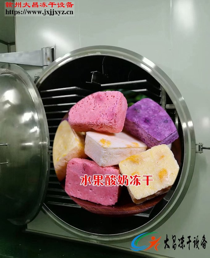 水果酸奶冻干设备安装案例
