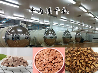 牛肉冻干机产品图