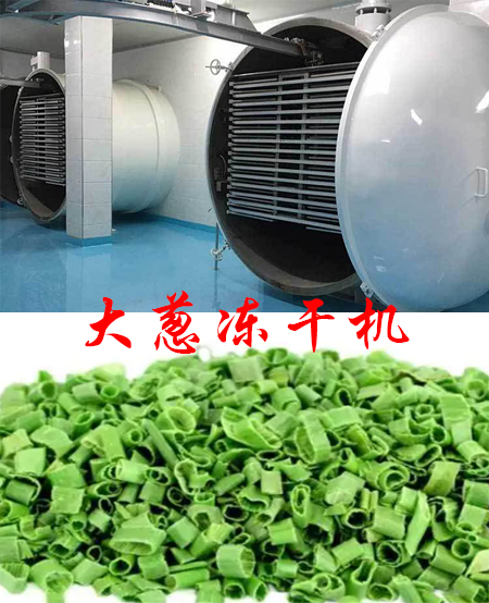 大葱冻干机产品图